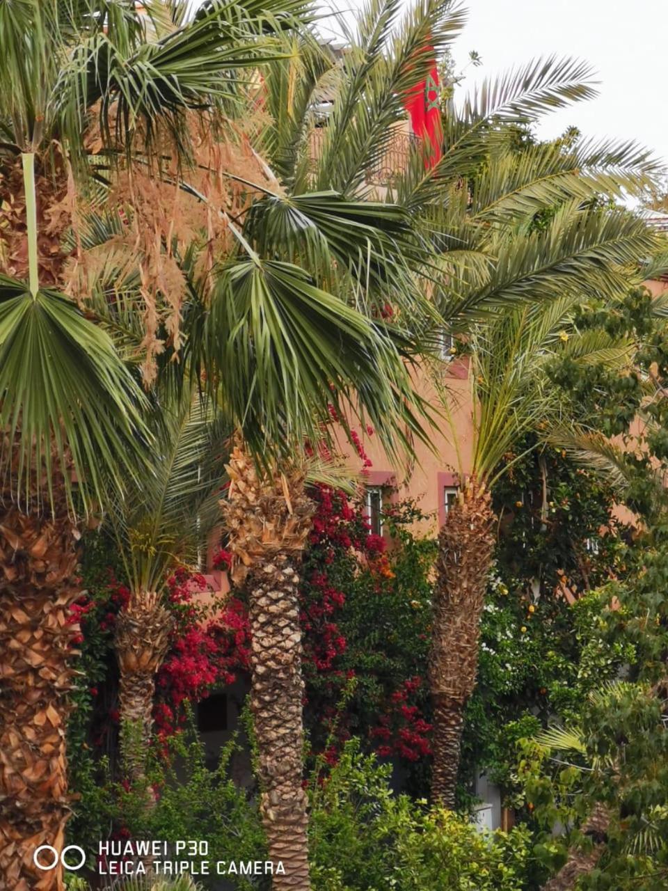 Hicham In Marrakech