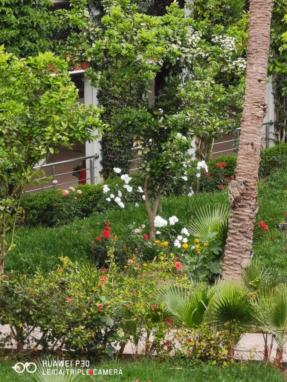 Ferienhaus Hicham